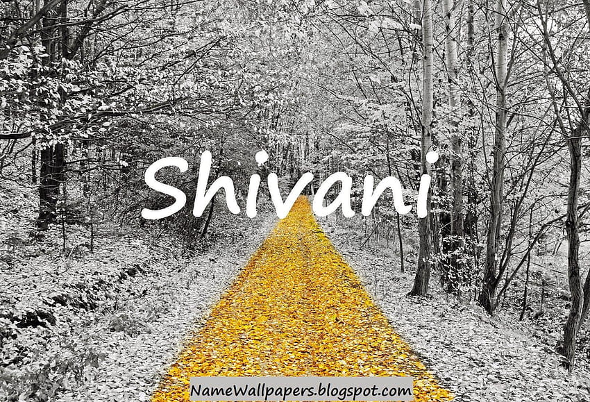 Shivani Saharan Widescreen Wallpapers 55792 - Baltana