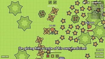 Private Server, MooMoo.io Wiki