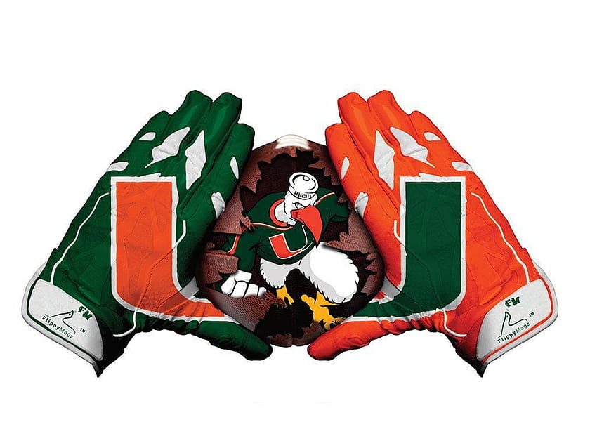Miami Hurricanes 3D Wallpapers on WallpaperDog