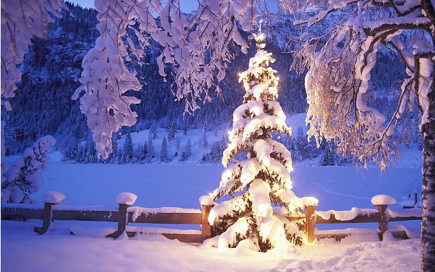40 Snowy Christmas Scenes at Bro [2560x1600] for your , Mobile & Tablet ...