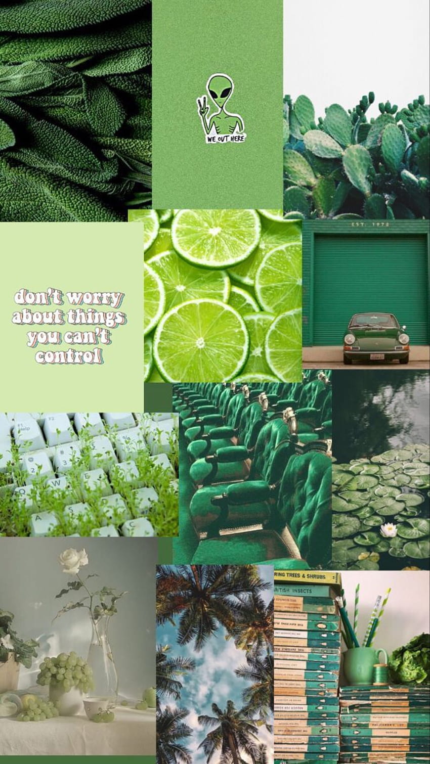 Green Lemon Aesthetic, aesthetic green things HD phone wallpaper | Pxfuel
