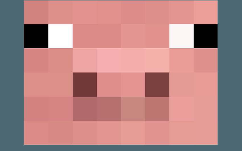 Modello di faccia di maiale di Minecraft Modello di faccia di maiale minecraft Sfondo HD
