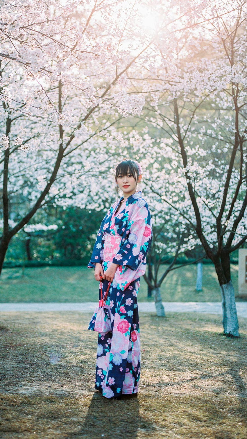 Ragazza giapponese in Kimono Sakura Android, androide giapponese Sfondo del telefono HD
