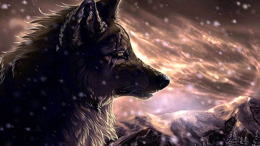 Anime Wolf Full, werewolf anime HD wallpaper Anime Wolf Full, werewolf anime HD wallpaper