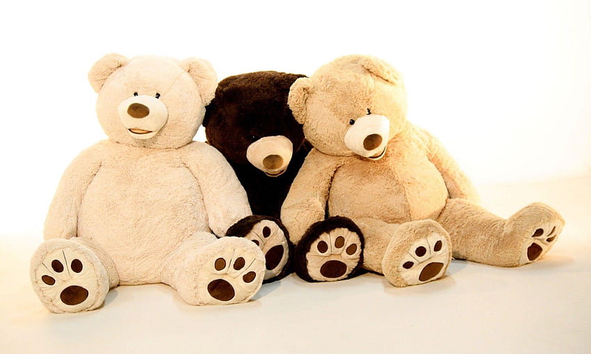 Latest Three Teddy Bears, tiny teddy bear HD wallpaper | Pxfuel