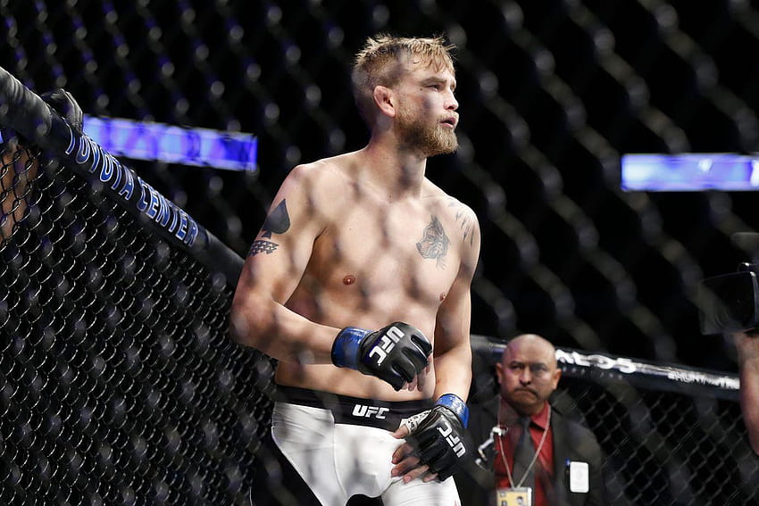 UFC Fight Night 93 Ergebnisse: Alexander Gustafsson punktet einstimmig HD-Hintergrundbild