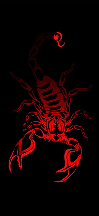 Premium Vector | Scorpio zodiac sign desktop wallpaper