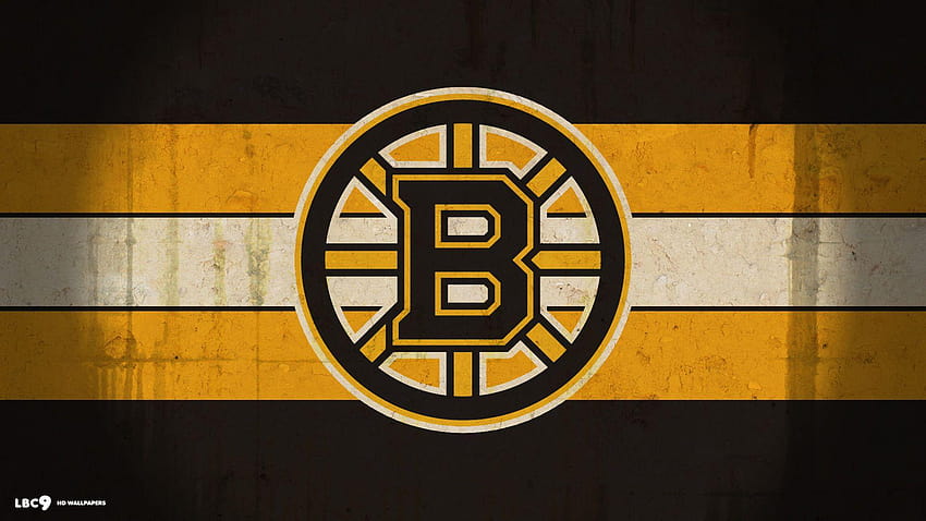 Boston Bruins Group, hockey full HD wallpaper