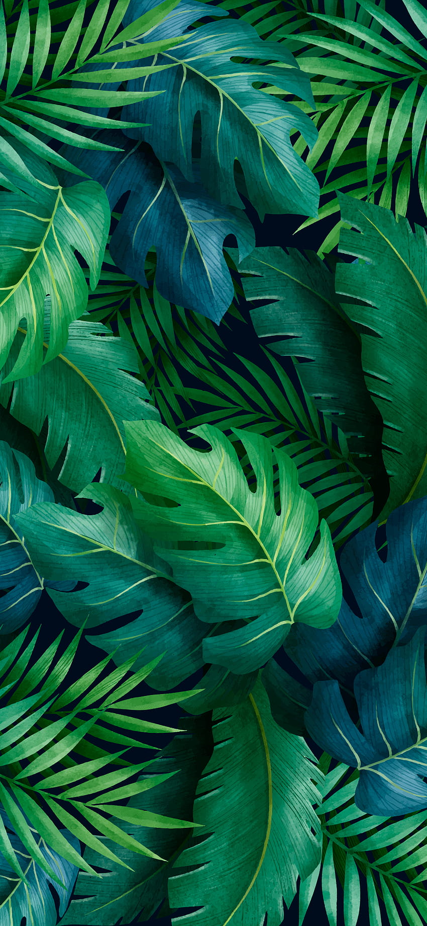 Tropical Leaves HD phone wallpaper | Pxfuel