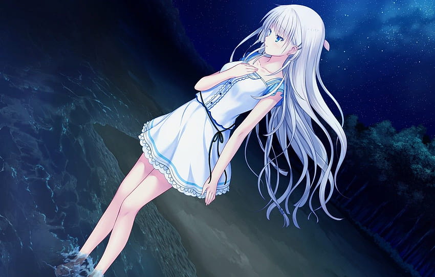 Mädchen, Nacht, weißes Haar, Sommertaschen, Abschnitt прочее, Anime-Mädchen, weißes Haar HD-Hintergrundbild
