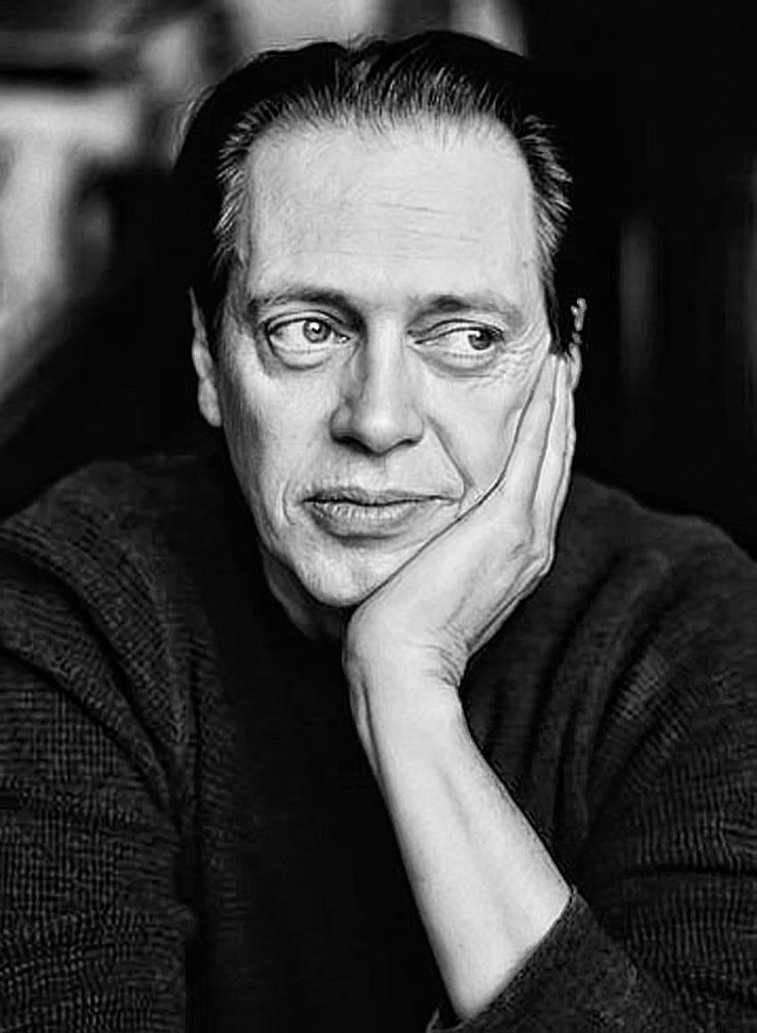 Gallery For Steve Buscemi HD phone wallpaper Pxfuel