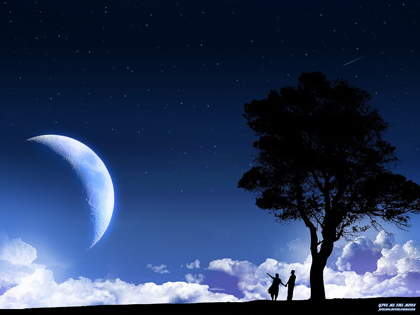 : 夜、月、愛、木、真夜中の月 高画質の壁紙