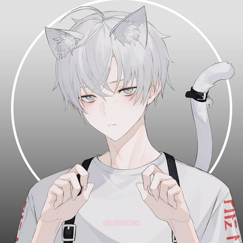 App: Pitzmaker, cute anime cat boy HD phone wallpaper | Pxfuel