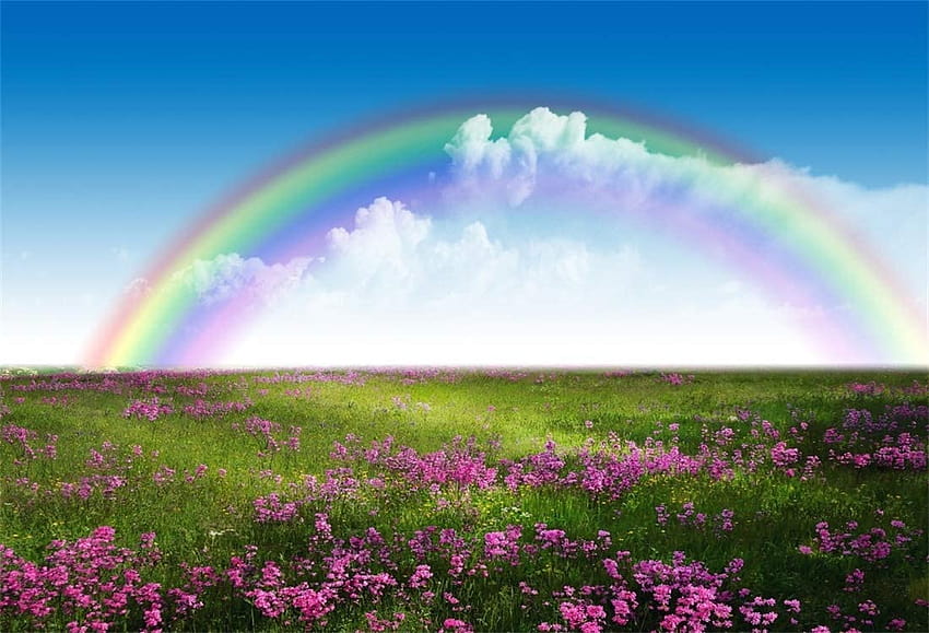 Amazon : Yeele 7x5ft graphy Backgrounds Spring Meadow Studio Rainbow ...