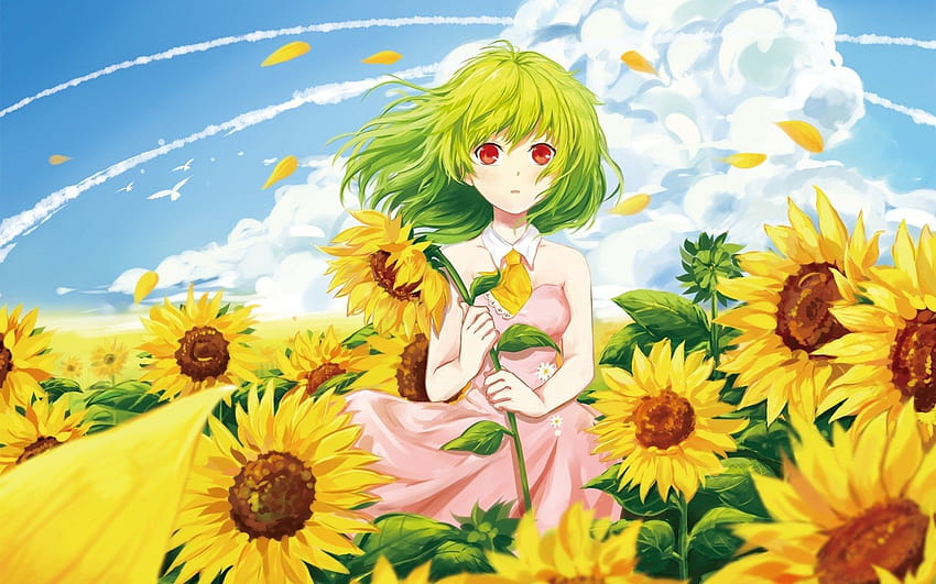 720P Free download | Beautiful Summer Anime, sunflower anime HD ...