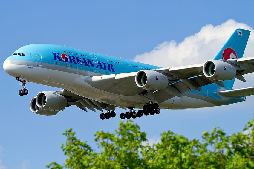 อากาศด้วยเครื่องบินแอร์บัส A380 เข้าใกล้เครื่องบินลงจอด 2925 [1238x825] for your , Mobile & Tablet, korean air วอลล์เปเปอร์ HD
