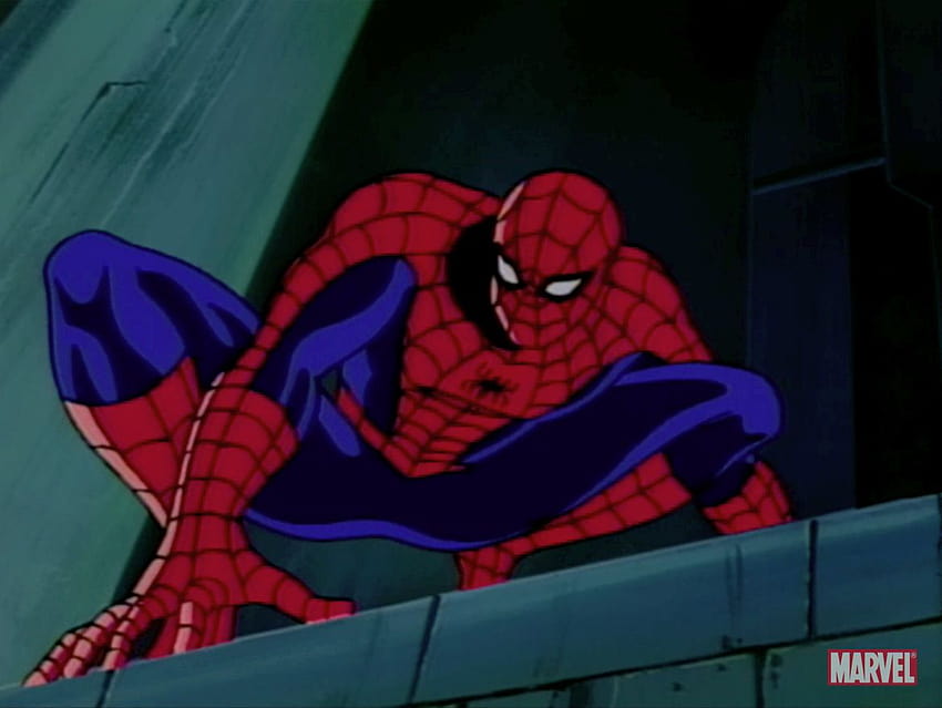 Best 7 Spider, spider man animated HD wallpaper | Pxfuel
