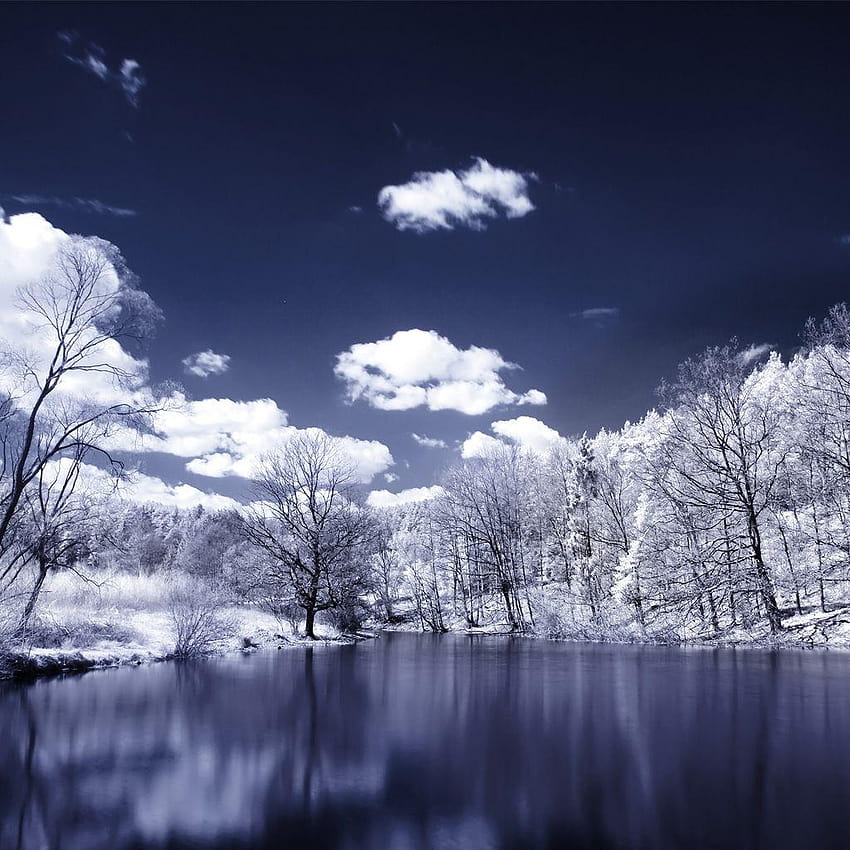 Infrared graphy Landscapes Skyscapes Trees Water, infrared landscape HD phone wallpaper