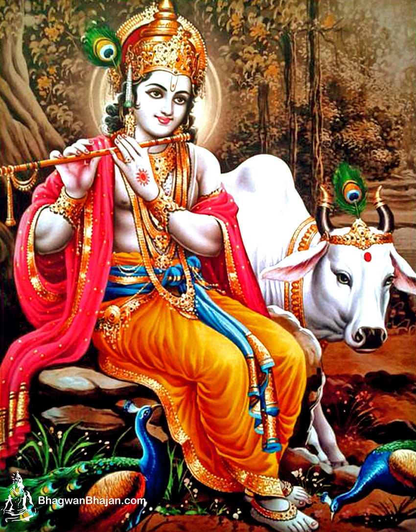 Bhagwan Krishna, tuan sri krishna wallpaper ponsel HD