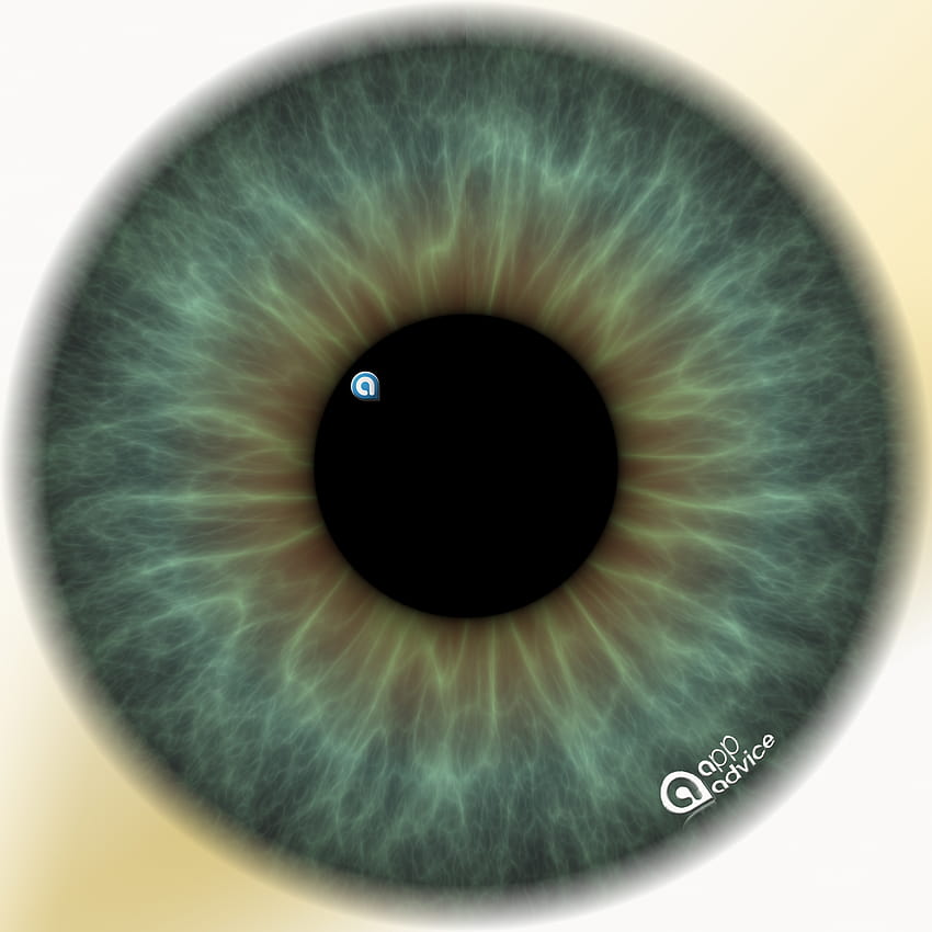 retina ,iris,eye,organ,close up,blue,eyelash,human body,circle, ophthalmology HD phone wallpaper