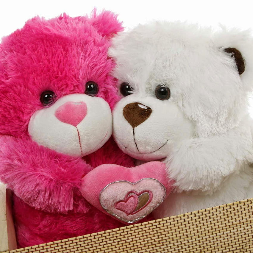 Lovely And Beautiful Teddy Bear ~ Allfresh, latest teddy bears HD phone wallpaper
