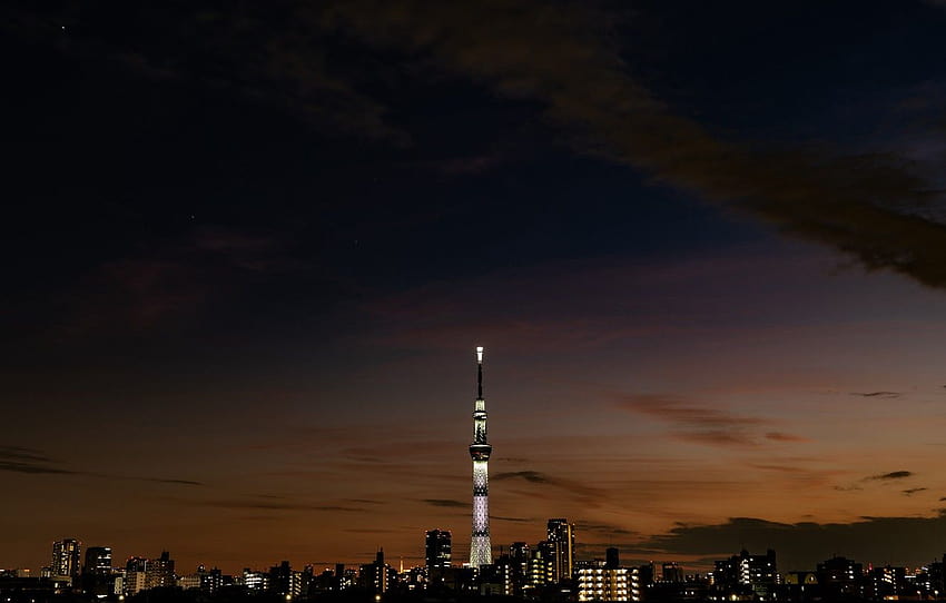 cidade, luzes, escuro, Japão, crepúsculo, torre, rio, céu, arranha-céus, panorama, luzes da cidade papel de parede HD