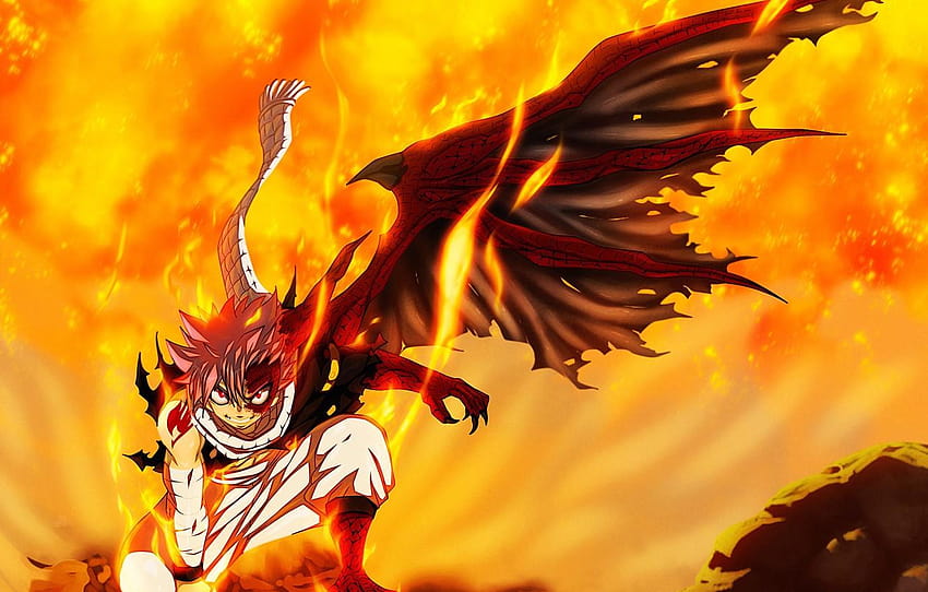fire, battlefield, flame, logo, game, anime, tattoo, fairy tail dragons HD wallpaper