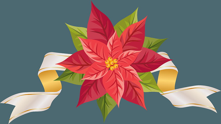Poinsettia with Ribbon PNG Clipart, christmas poinsettia HD wallpaper