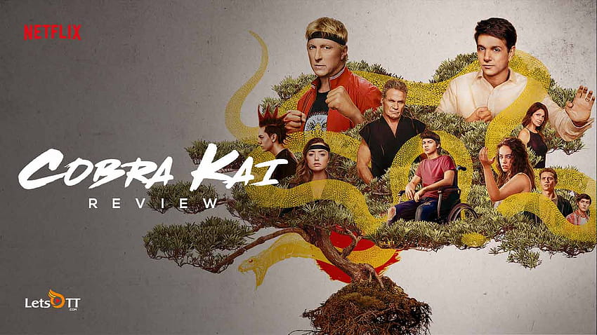 Cobra Kai Season 3 Review: Has its ...letsott HD wallpaper