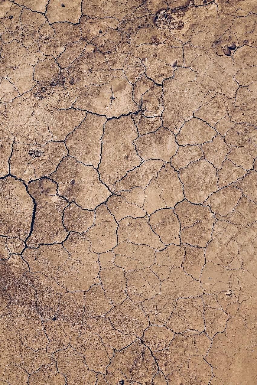 10 가뭄, 마른 땅 HD 전화 배경 화면