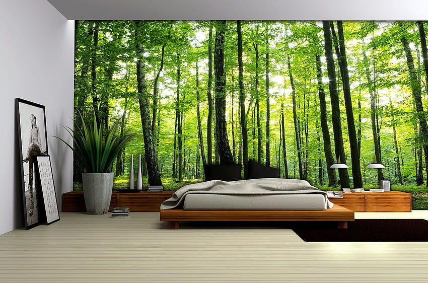 15 Remarkable Landscape  Forest Wallpaper for your bedroom  Eazywallz