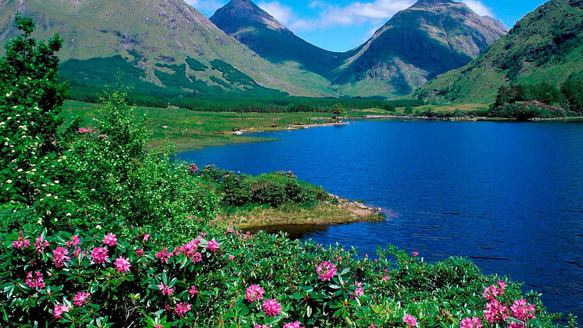 1920x1080 산, 호수, 꽃, 슬로프, 녹색, 잔디, 여름 전체 배경, 여름 스코틀랜드 HD 월페이퍼