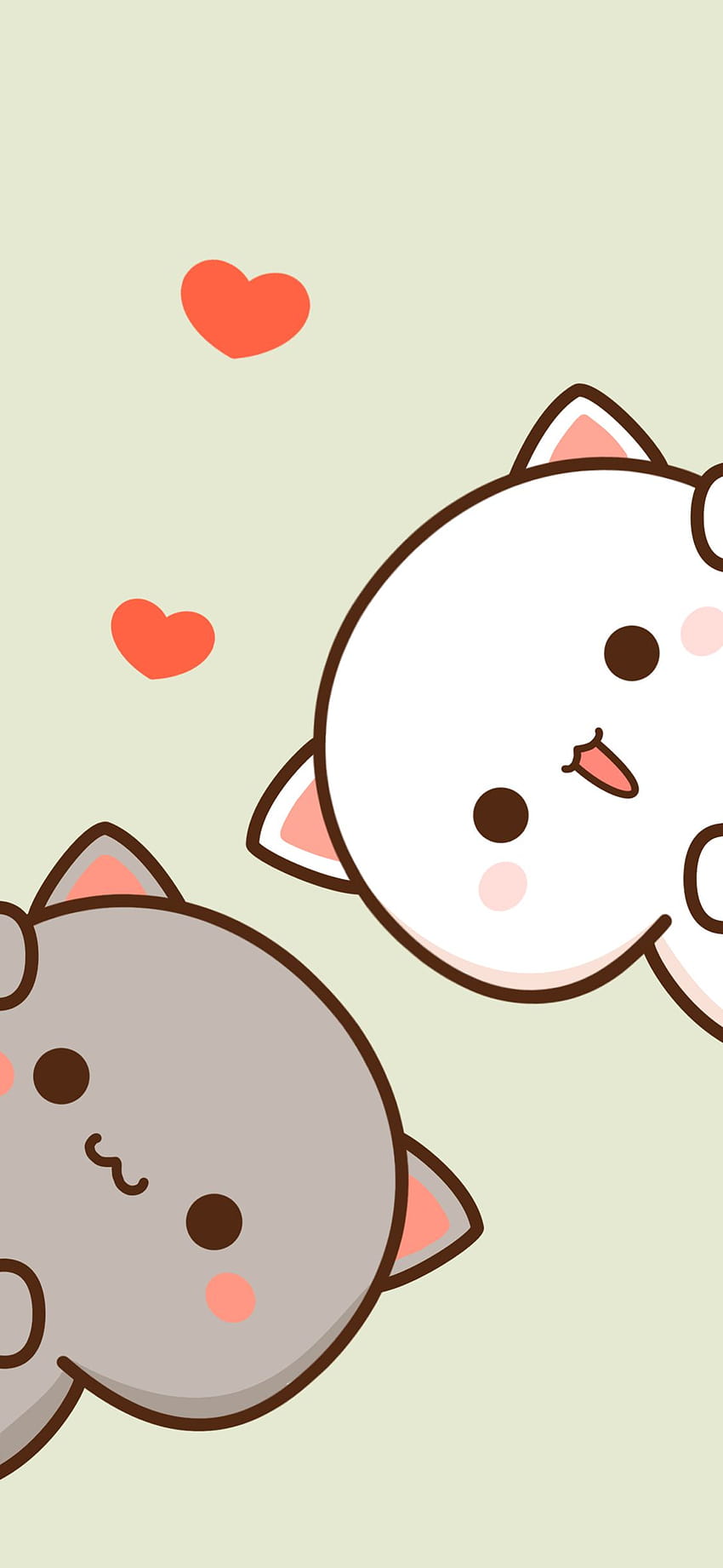 Mochi Cat wysłane przez Ryana Andersona, mochi mochi brzoskwiniowy kot Tapeta na telefon HD