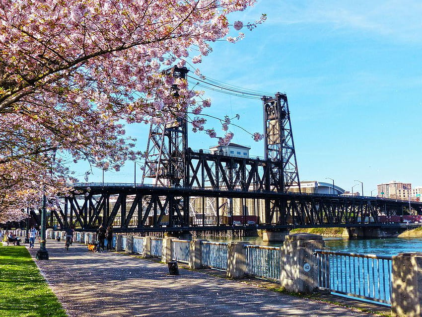 Stahlbrücke Portland HD-Hintergrundbild