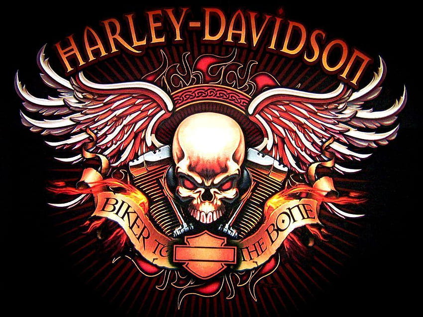 would make a cool tattoo without the harley davidson at the top, cool stuff HD wallpaper