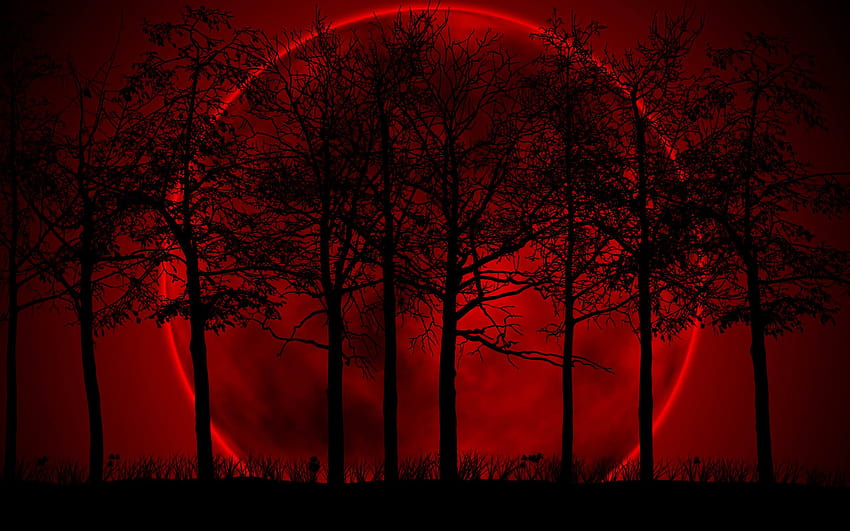 Hay un eclipse lunar total el lunes por la noche, luna de sangre fondo de pantalla
