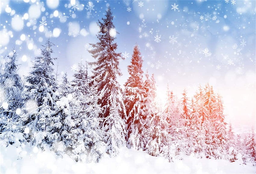 Amazon : CSFOTO 5x3ft Kar Yağan Ormanlar için Arka Planlar Kış Arka Planı Zemin Her Zaman Yeşil Köknar Kar Örtüsü Düşen Kar Ormanı Kar Tanesi Noel Yeni Yıl Turu Tatil Stüdyosu Donanımları Polyester : Elektronik, yılbaşı kış portresi HD duvar kağıdı