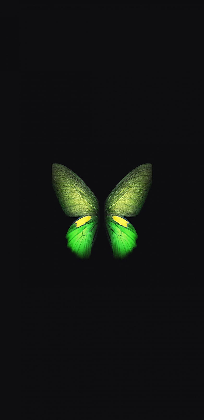 Samsung Galaxy Fold Butterfly green [1440x2960] for your , モバイル & タブレット, 銀河の蝶 HD電話の壁紙