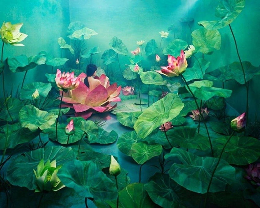Flores: Arte Hojas Flores Flor de loto Para para, flores de loto fondo de pantalla