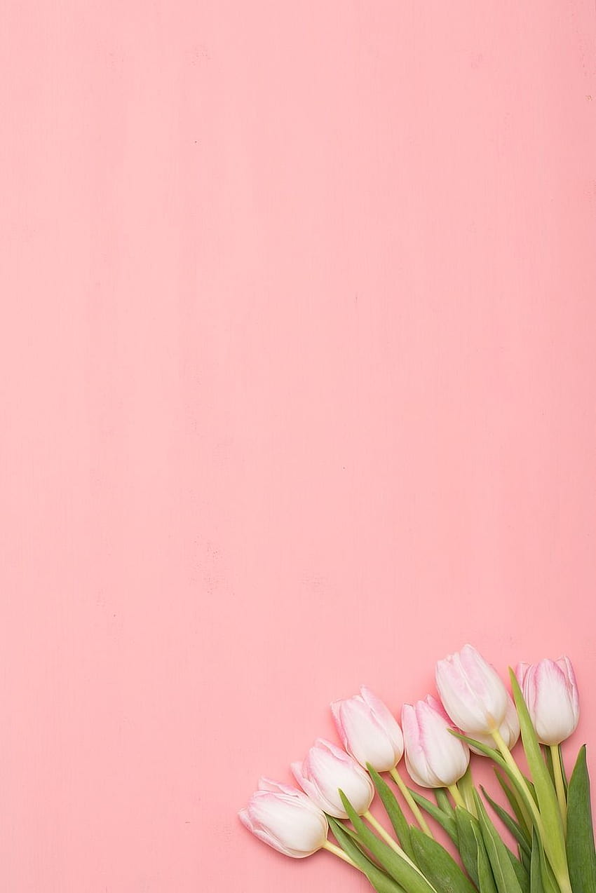 на Pixabay, пролетни цветя 2020 г HD тапет за телефон