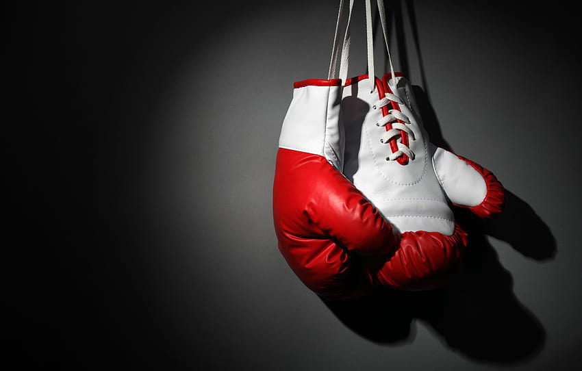 Boxing, boxing, martial art, Boxing gloves, hang, ., gray background, beautiful background, beautiful background, on the wall , section разное, boxing bag HD wallpaper