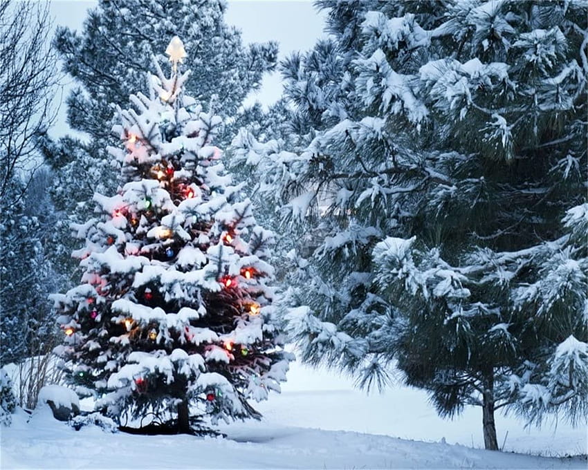 Amazon : AO 5x4ft Salju Tertutup Pohon Natal Latar Belakang Latar Belakang Pemandangan Salju Musim Dingin Xmas Tahun Baru Luar Ruangan Anak Dewasa Anak Laki-laki Perempuan Potret Artistik hoot Alat Peraga Studio Video Drape : Elektronik, potret musim dingin natal Wallpaper HD