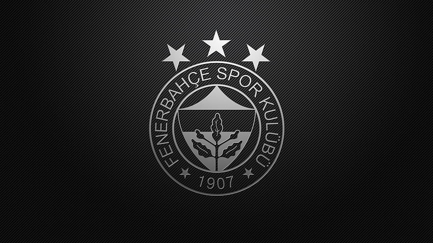 Fenerbahçe, fenerbahce sk HD wallpaper