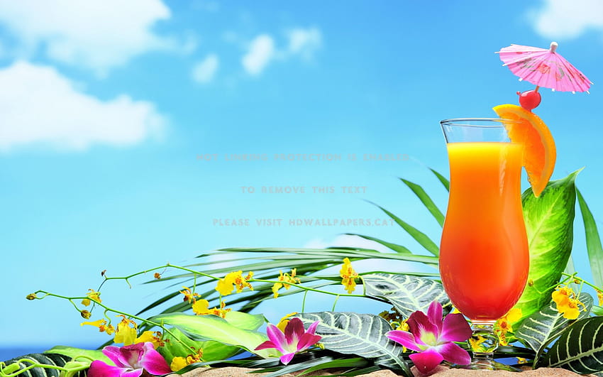 summer cocktail flowers drink graphy, summer coctail HD wallpaper
