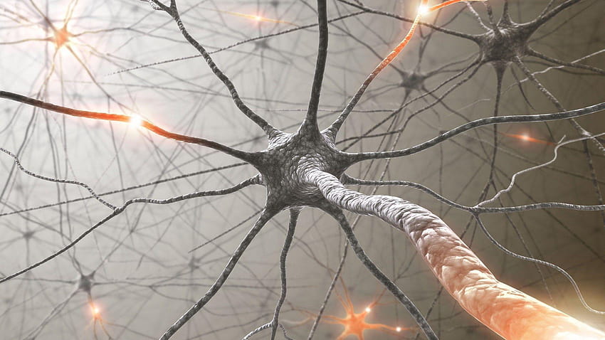 1541262, : neuron pic, deep learning HD wallpaper
