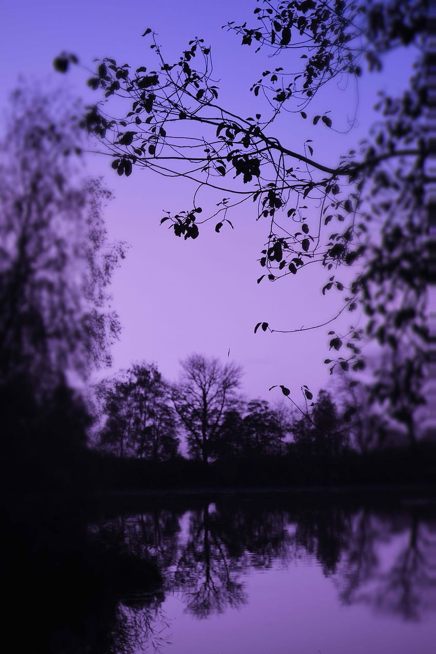 HD abstract dark purple wallpapers | Peakpx