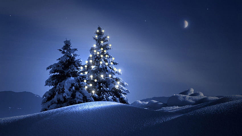 Christmas Tree With Lights In Snow Field During Nighttime Christmas Tree, christmas night time HD wallpaper