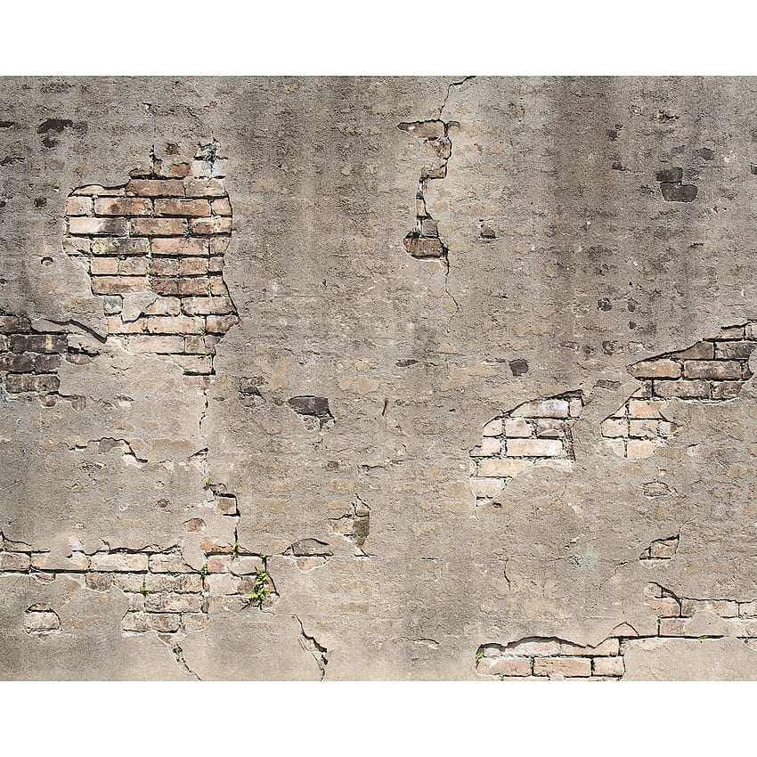 Wall Rogues Broken Concrete Wall Mural HD phone wallpaper