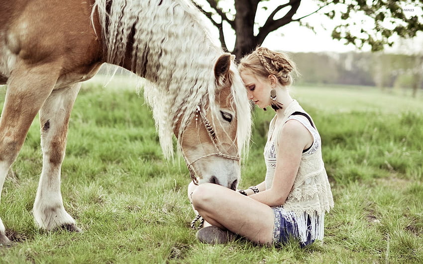 Blonde girl with a beautiful horse, girl and horse HD wallpaper
