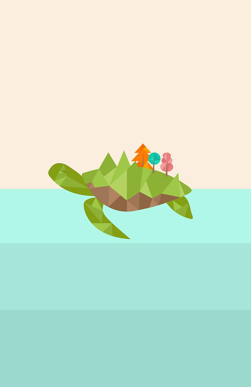 – Turtle, save the turtles HD phone wallpaper